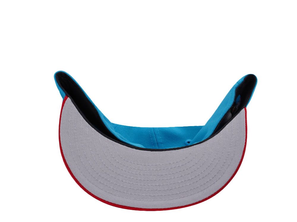 Palm & Sun Snapback Cap